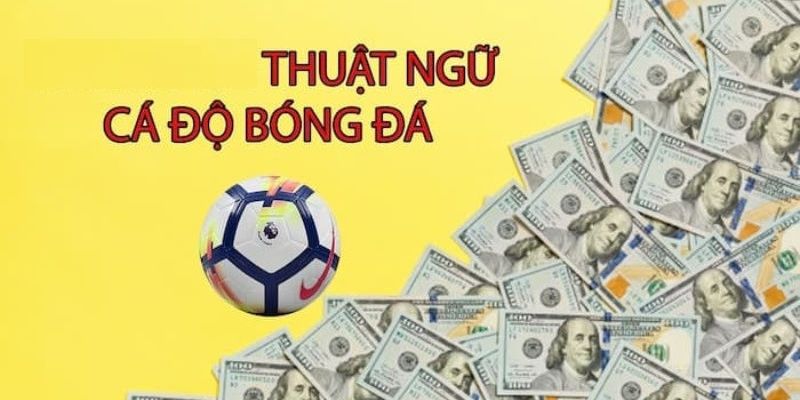 Những thuật ngữ cá độ bóng đá thường gặp tại Kubet77